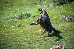 Tibet06---R24a---004.jpg Tibet06---R24a---004.jpg