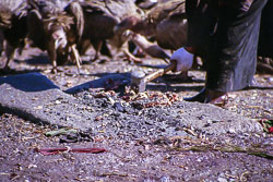 Tibet06---R24a---018.jpg Tibet06---R24a---018.jpg