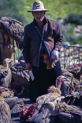 Tibet06---R24a---021.jpg Tibet06---R24a---021.jpg